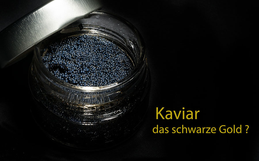 Kaviar das Luxusprodukt